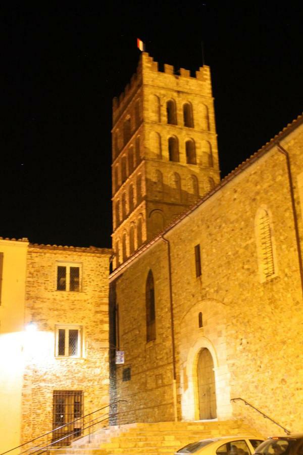 Maison Au Pied De La Cathedrale Elne Exterior photo